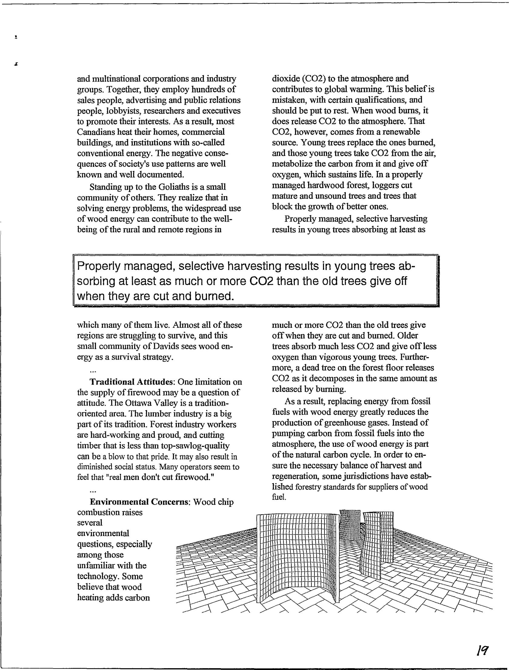 MHA News Spring 1993-19.jpeg